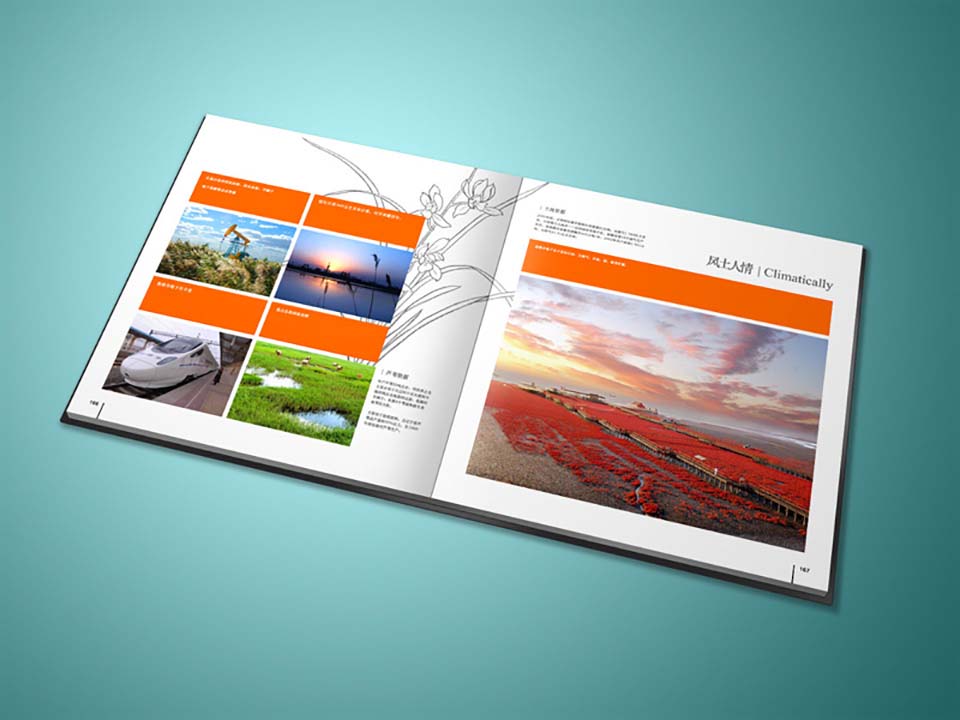 房地产宣传画册