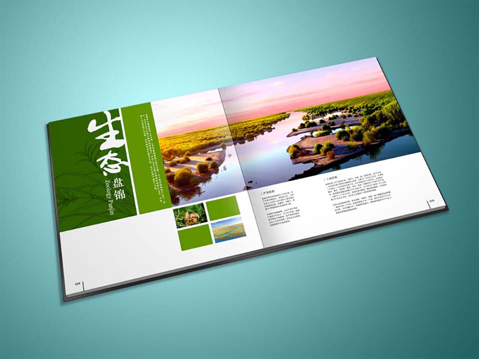 房地产宣传画册