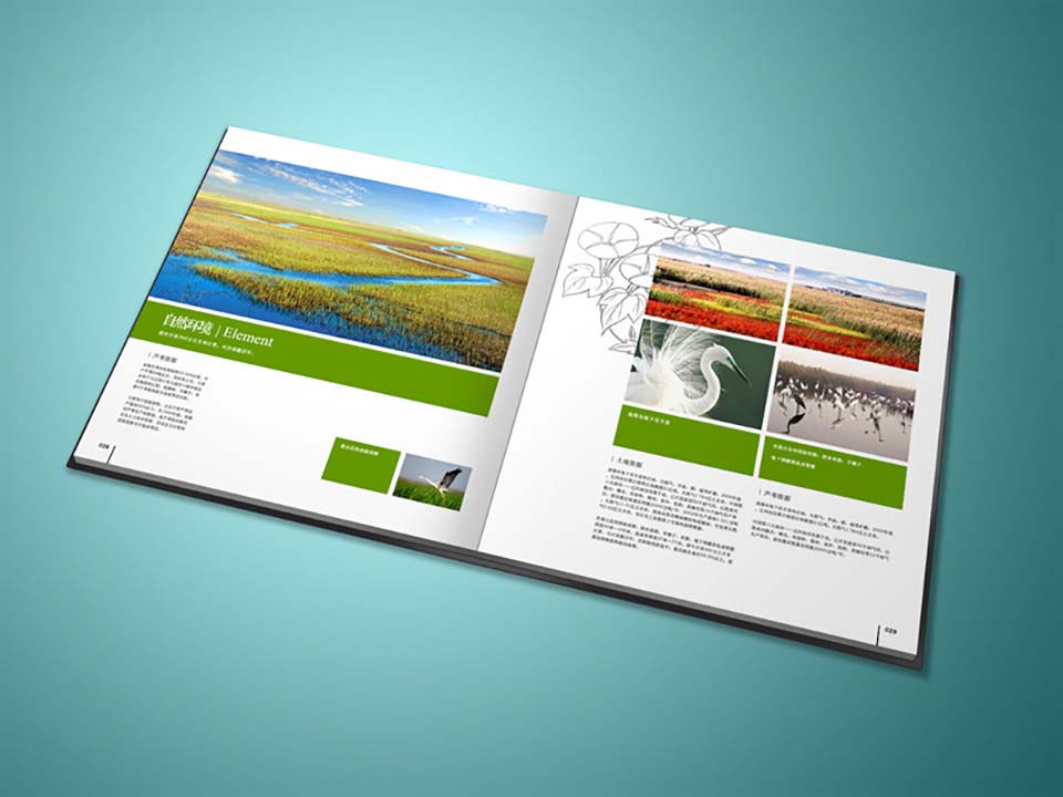 房地产宣传画册